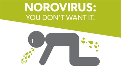 norovirus treatment in immunocompromised